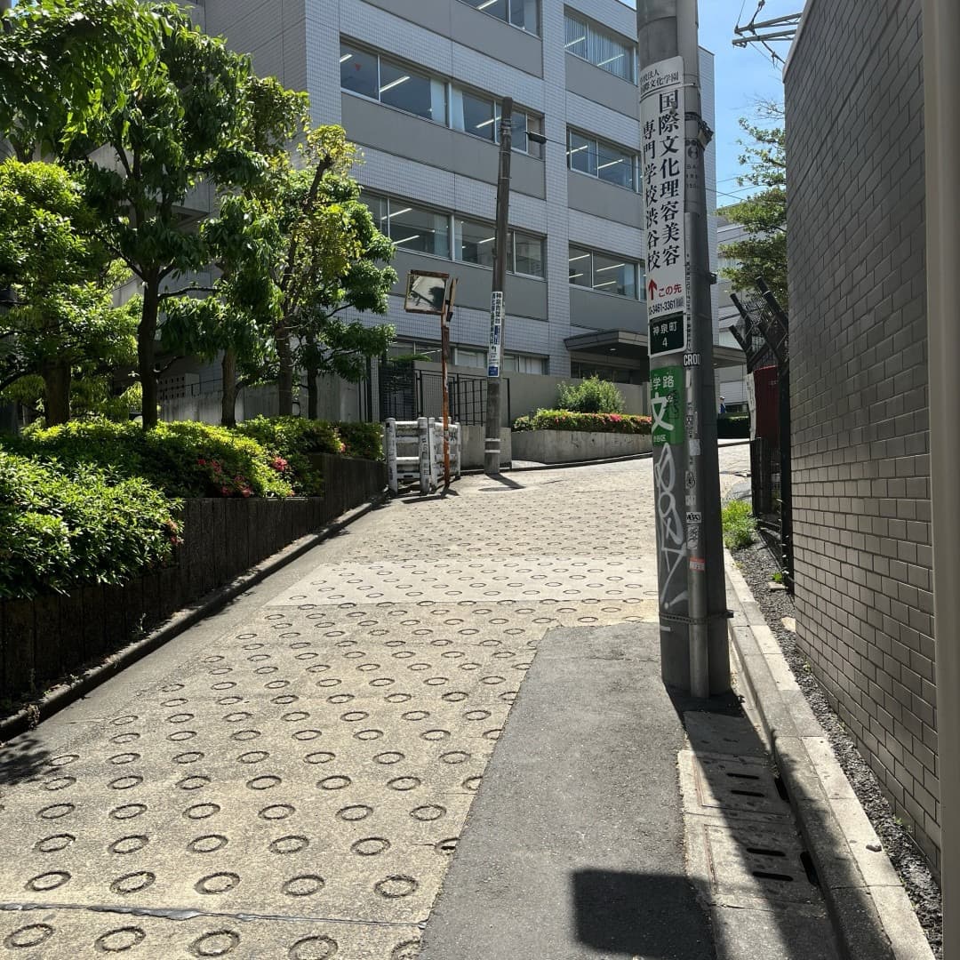 椿音楽教室 SNAKE MONKEY STUDIOの写真 4