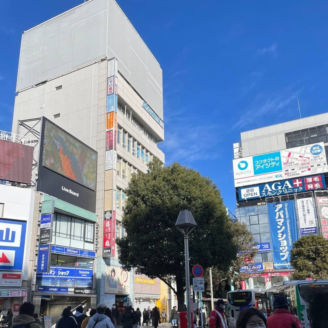 椿音楽教室 スタジオ・レダの写真 3