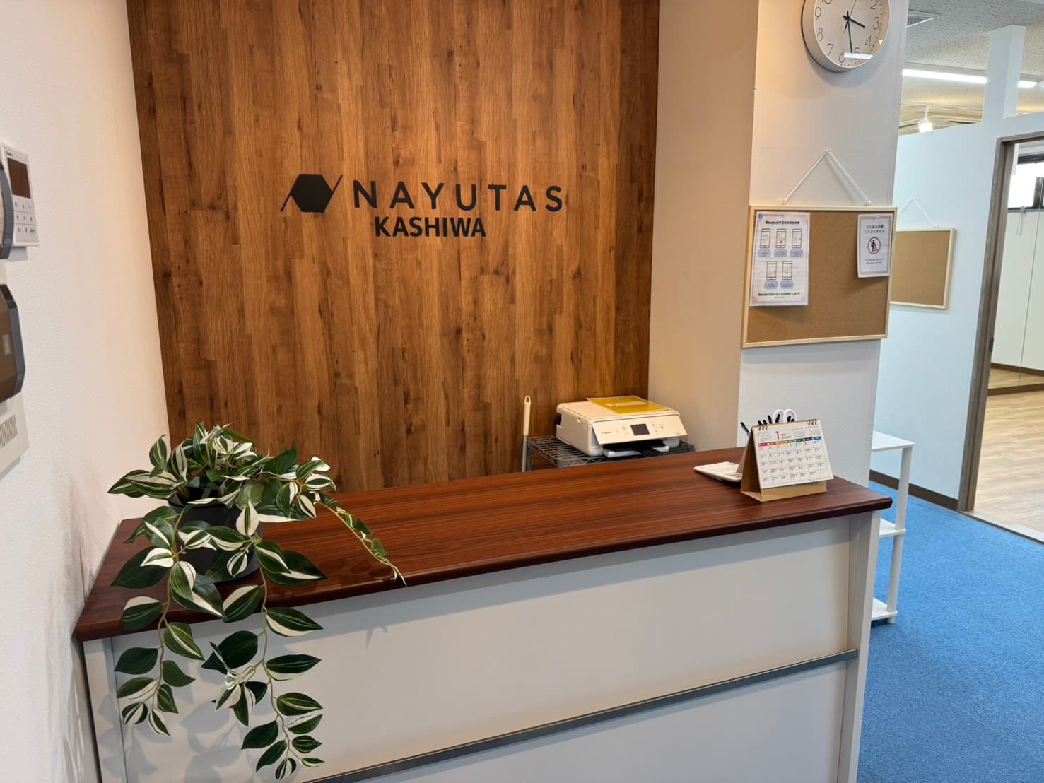 NAYUTAS 柏校の写真
